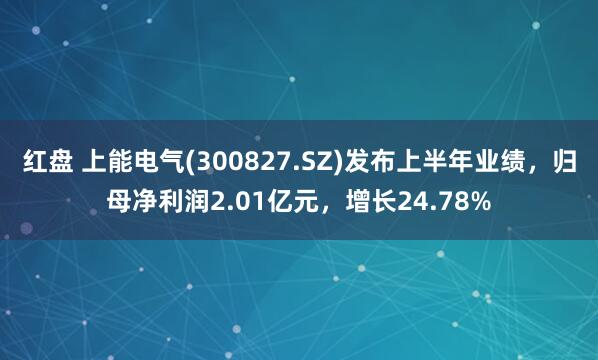红盘 上能电气(300827.SZ)发布上半年业绩，归母净利润2.01亿元，增长24.78%