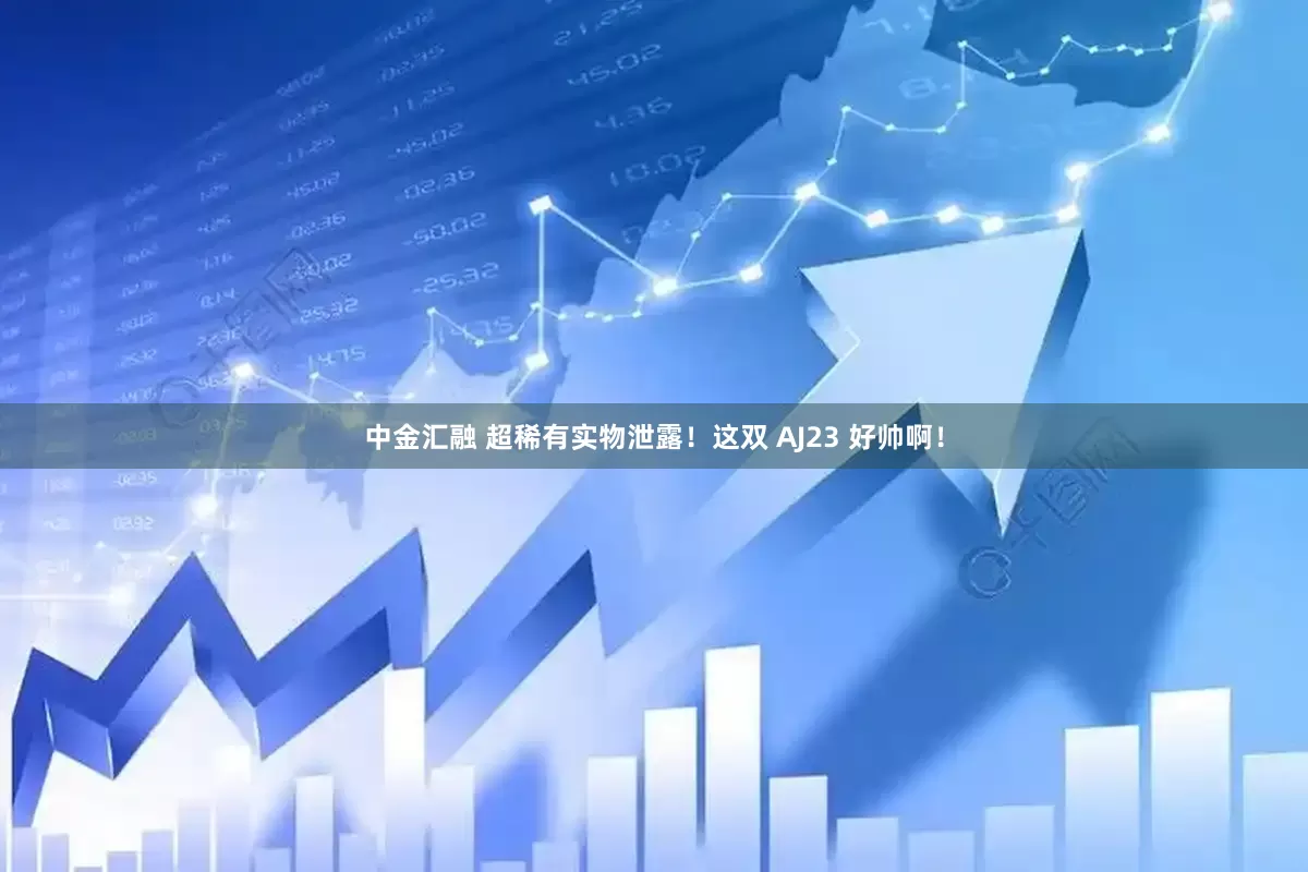 中金汇融 超稀有实物泄露！这双 AJ23 好帅啊！